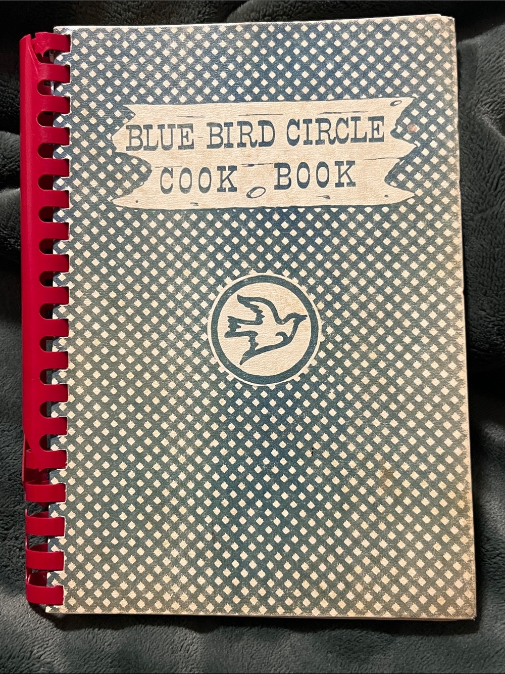 VINTAGE 1952 📕 202-PAGE TEXAS HARD COVER BINDER “BLUEBIRD CIRCLE COOKBOOK”